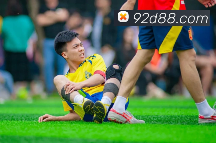 奖项证书